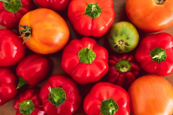 Mini Capsicums Recién Recogidos Tomates Con Tonos Rojos Anaranjados Vibrantes — Foto de Stock