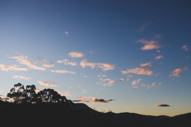 Tazmanya 'da çekilmiş okaliptüs ağacı siluetleriyle dağların üzerinde görkemli mor günbatımı.