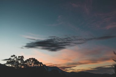 Kışın Tazmanya 'da çekilen okaliptüs ağacı siluetleriyle dağların üzerinde görkemli pembe günbatımı.