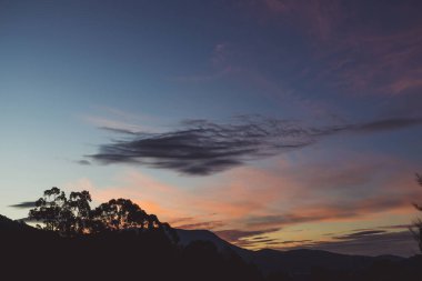 Kışın Tazmanya 'da çekilen okaliptüs ağacı siluetleriyle dağların üzerinde görkemli pembe günbatımı.