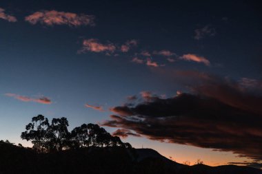Kışın Tazmanya 'da çekilen okaliptüs ağacı siluetleriyle dağların üzerinde görkemli pembe günbatımı.