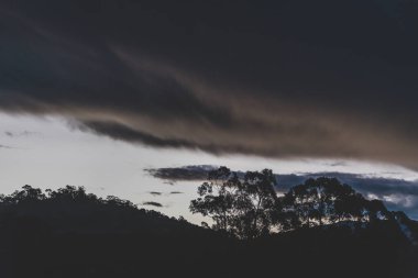 Tazmanya 'da kışın çekilen okaliptüs ağacı siluetleriyle dağların üzerinde fırtınalı bir alacakaranlık.