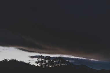 Tazmanya 'da kışın çekilen okaliptüs ağacı siluetleriyle dağların üzerinde fırtınalı bir alacakaranlık.