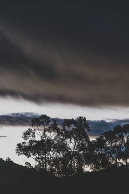 Tazmanya 'da kışın çekilen okaliptüs ağacı siluetleriyle dağların üzerinde fırtınalı bir alacakaranlık.