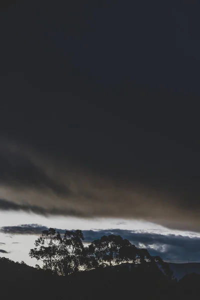 Stormy Dusk Mountains Eucalyptus Gum Trees Silhouettes Shot Tasmania Winter — Stok fotoğraf