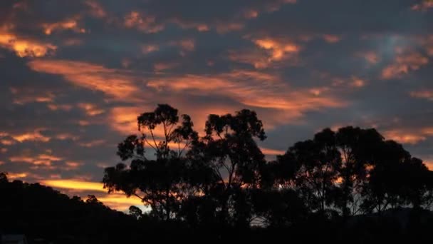 Timelapse Różowy Zachód Słońca Bez Klasyfikacji Kolorów Nad Górami Eukaliptusa — Wideo stockowe