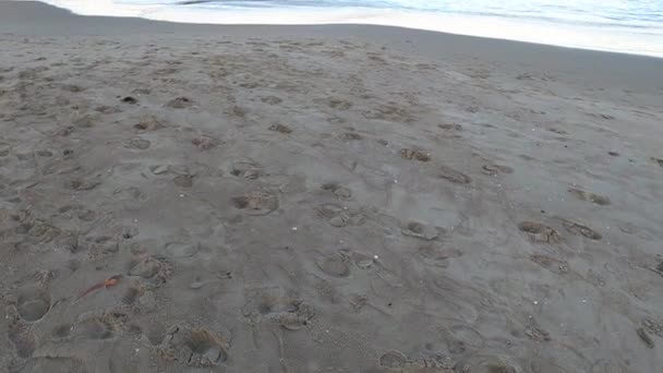 Yumuşak Pastel Tazmanya Avustralya Pasifik Okyanusu Nda Günbatımını Yavaş Çekimde — Stok video