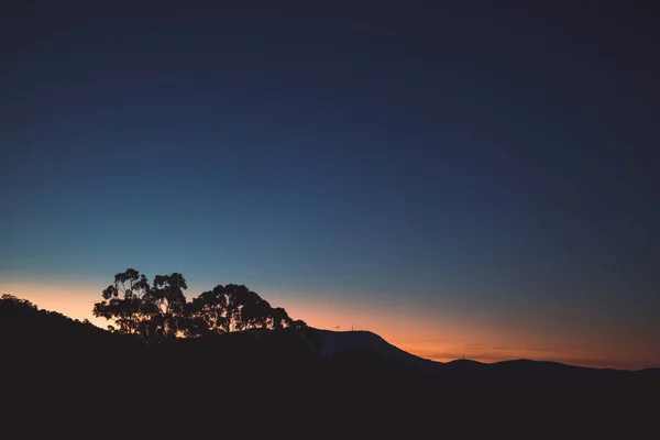 Помаранчевий Захід Сонця Над Горами Сілуетами Евкаліптів Вирізаними Тасманії Взимку — стокове фото