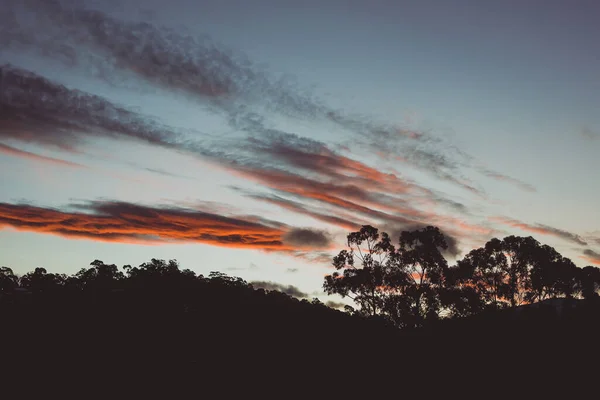 Nubes Rosadas Atardecer Sobre Las Montañas Con Siluetas Eucalipto Tasmania — Foto de Stock