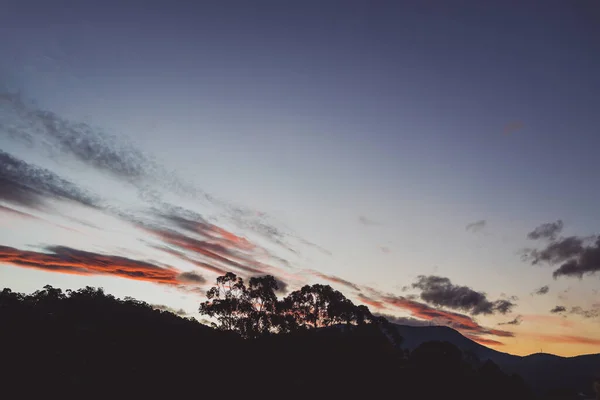 Rózsaszín Naplemente Felhők Hegyek Felett Eukaliptusz Gumifák Sziluettek Lövés Tasmania — Stock Fotó