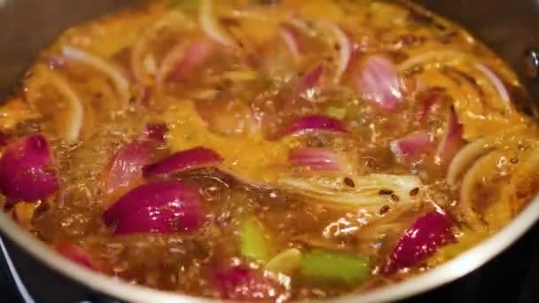 素食火鸡用茄子芹菜盛火锅 并在辛辣的肉汤中加入混合香草和健康的植物食品配方 — 图库视频影像