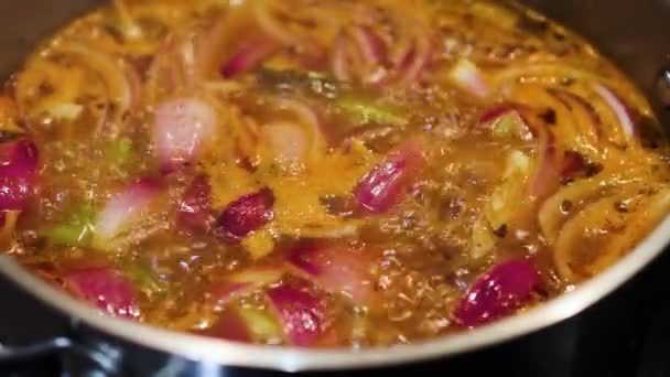 素食火鸡用茄子芹菜盛火锅 并在辛辣的肉汤中加入混合香草和健康的植物食品配方 — 图库视频影像