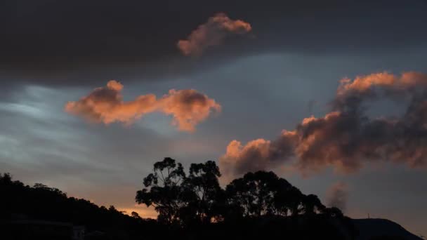 Okaliptüs Ağacı Siluetleriyle Dağların Üzerinde Düzenlenmemiş Turuncu Günbatımı Bulutlarıyla Zaman — Stok video