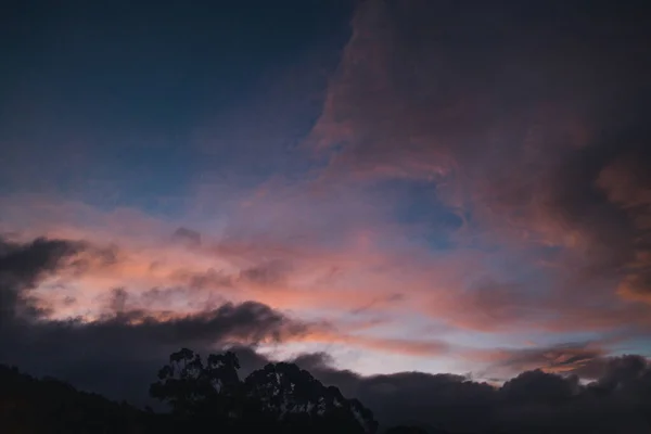 Majestic Pink Sunset Mountains Eucalyptus Gum Trees Silhouettes Shot Tasmania — Photo