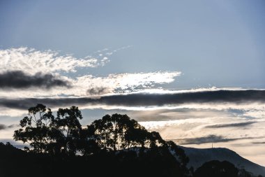 Ön planda okaliptüs ağaçlarıyla karlı dağ tepeleri ve kışın Tazmanya, Avustralya 'da çekilen güzel gün batımı bulutları.