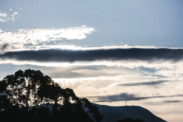 눈덮인 꼭대기에 유칼립투스 고무나무가서 겨울에 오스트레일리아 태즈메이니아의 태즈메이니아에서 촬영된 아름다운 — 스톡 사진
