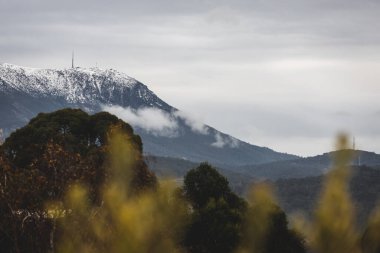 Okaliptüs ağaçları ve ön planda bitkilerle kaplı karlı dağ tepeleri ve kışın Tazmanya, Avustralya 'da çekilen kalın beyaz bulutlar.