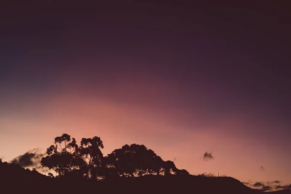 Pembe Mor Turuncu Günbatımını Okaliptüs Ağacı Ağaçlarıyla Dağların Üzerinde Tazmanya — Stok fotoğraf