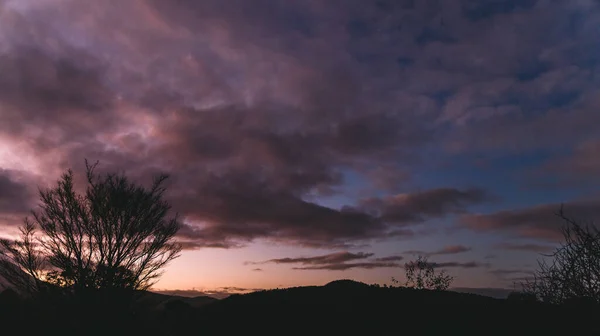Mor Günbatımının Geniş Açılı Manzarası Dağların Üzerinde Ağaçların Siluetleri Kışın — Stok fotoğraf