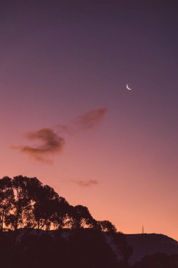 Pembe ve mor günbatımı gökyüzü hilal aylı ve dağların üzerinde okaliptüs ağaçlarıyla kaplı bulutsuz kışın Tazmanya 'da çekilmiş siluetler.