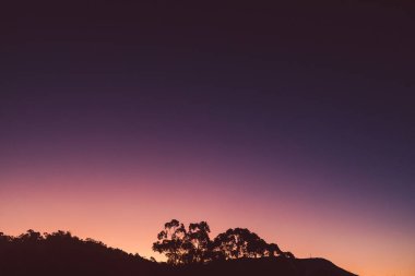 Pembe ve mor günbatımı gökyüzü dağların üzerinde bulutsuz okaliptüs ağacı siluetleri ile kışın Tazmanya 'da çekilen