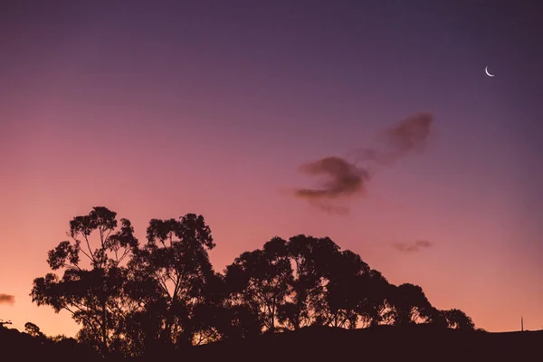 Cielo Atardecer Rosa Púrpura Con Luna Creciente Sin Nubes Sobre —  Fotos de Stock