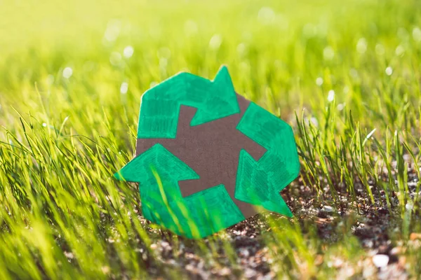 Recycle Sign Hand Drawn Cardboard Green Grass Sunshine — Stock Photo, Image