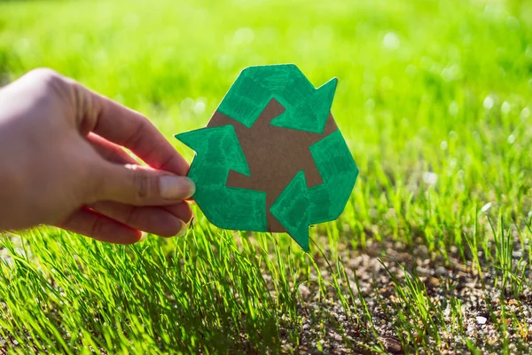 Recycle Sign Hand Drawn Cardboard Green Grass Sunshine — ストック写真