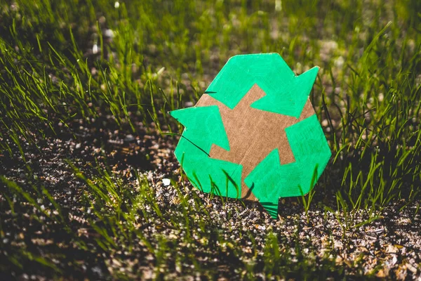 Recycle Sign Hand Drawn Cardboard Green Grass Sunshine — ストック写真