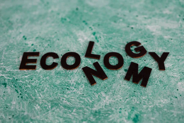 Ekonomika Ekologie Konceptuální Obraz Dvěma Slovy Sloučení Sebe Zeleném Pozadí — Stock fotografie