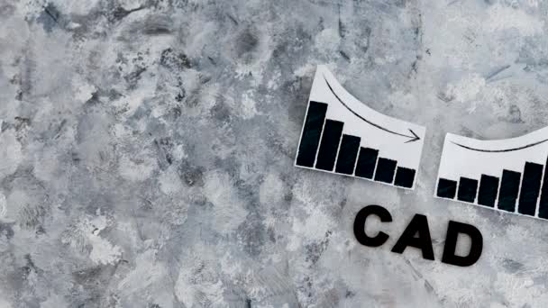 글로벌 에서의 실적을 상징하는 Cad Canadian Dollar 텍스트 아래에 긍정적 — 비디오