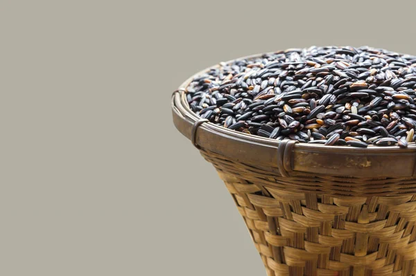 gri alanı ile Tayland pirinç yasemin berry