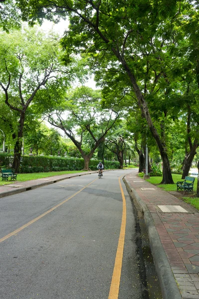 Πάρκο μονοπάτι ποδηλασίας ποδήλατο στο πάρκο της πόλης. — Φωτογραφία Αρχείου