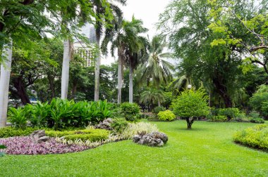 Yeşil Bahçe Manzaralı