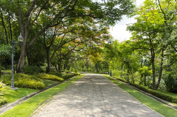 Garden Walkway in green park — Stock Photo, Image