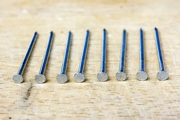 Başak grubu eski ormanda zemin üzerine çivi.