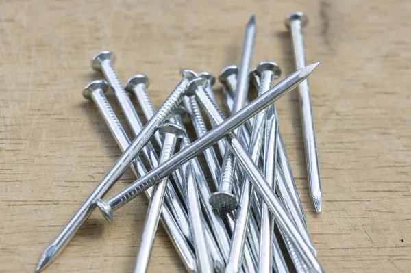 Başak grubu eski ormanda zemin üzerine çivi.