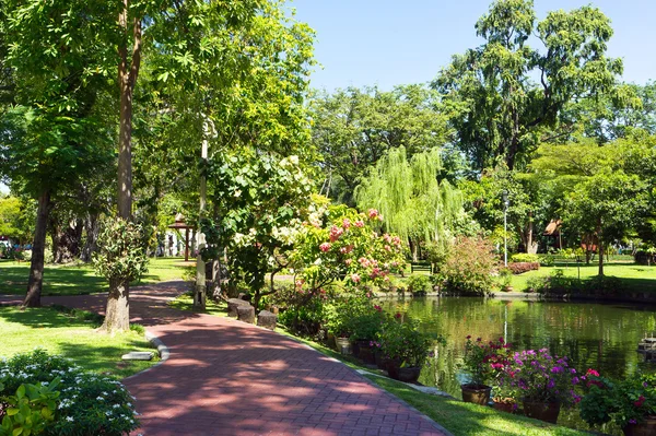 güzel doğal yeşil park Bahçe yürüme yolu