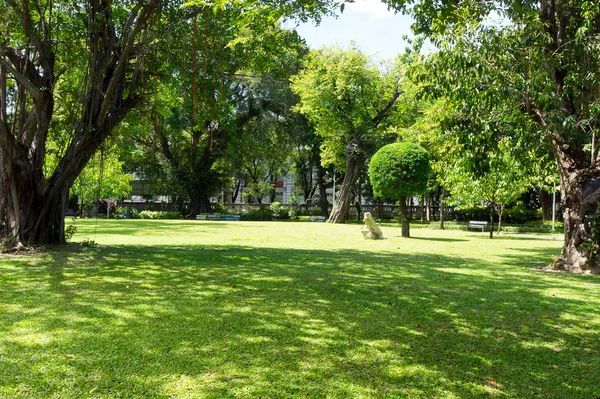 yağışlı sezon, Bahçe Manzaralı.