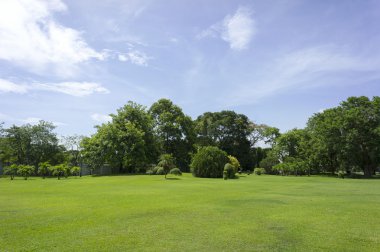 Mavi gökyüzü manzara ile yeşil bahçe.