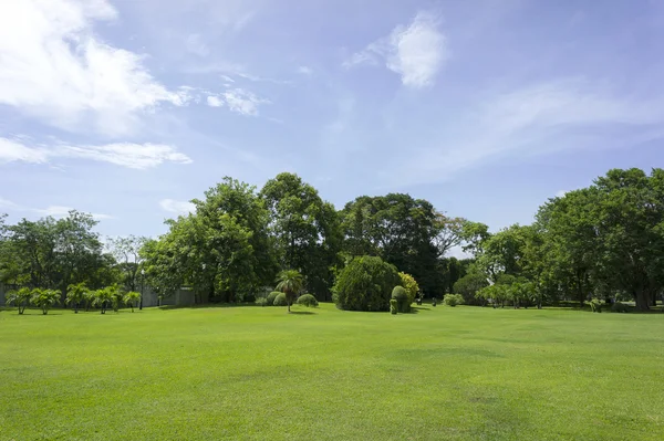 Mavi gökyüzü manzara ile yeşil bahçe.