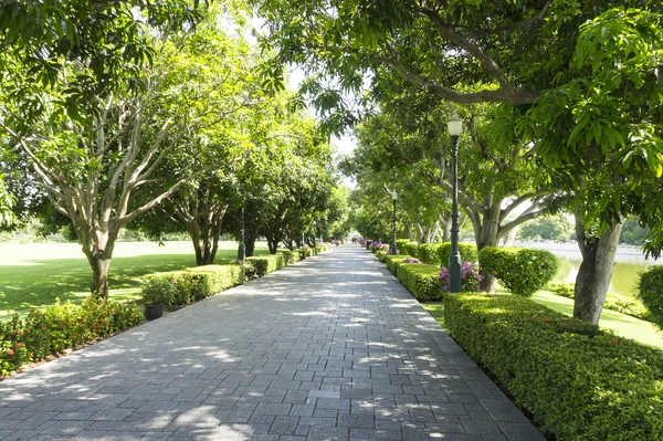 Mavi gökyüzü manzara ile yeşil bahçe.