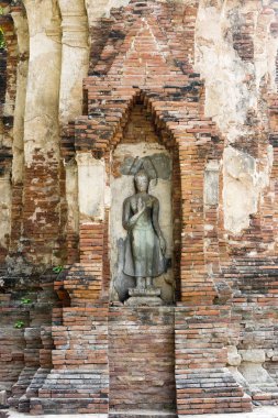 Buda heykeli ayutthaya, Tayland berbat