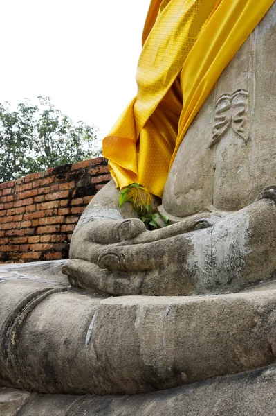 Buda'nın eli meditasyon yakın çekim — Stok fotoğraf
