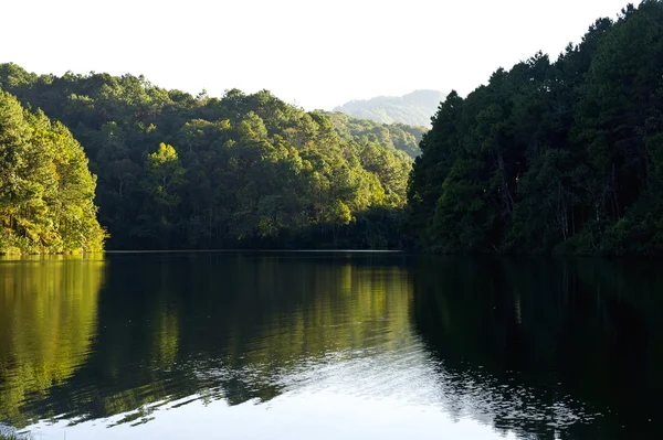 タイでの早朝の山の湖 — ストック写真