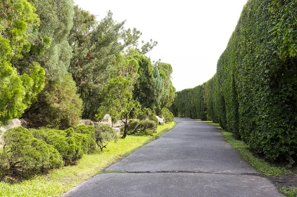 Garden view in the park. — Stock Photo, Image