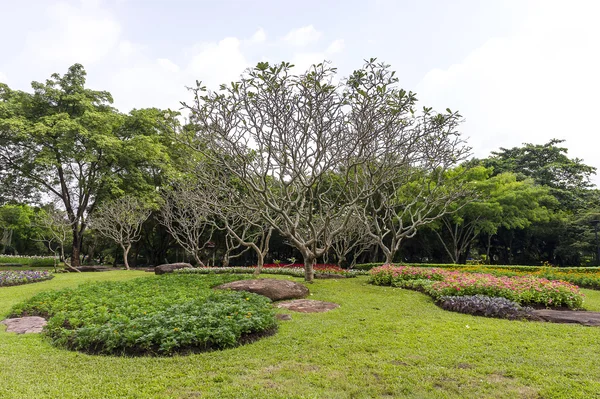 Uitzicht op de tuin in het park. — Stockfoto