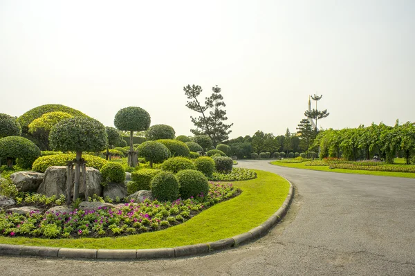 Vue jardin dans le parc. — Photo