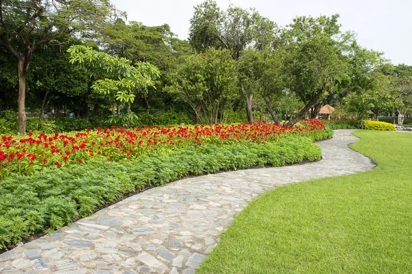 Het groene park in de stad — Stockfoto