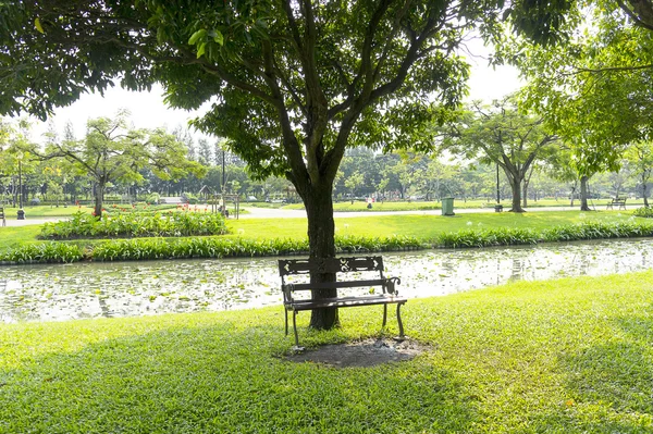 Parktaki bahçe manzarası.